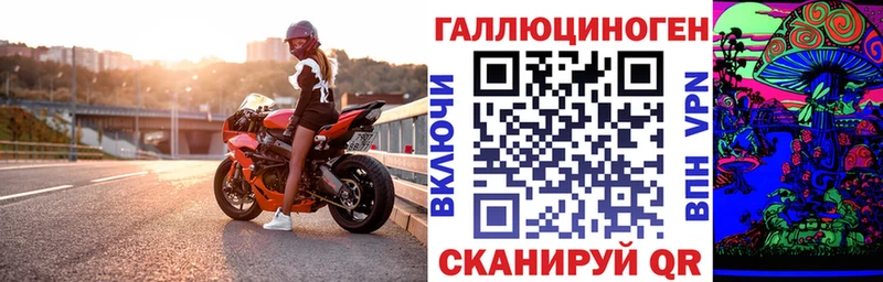 hydra   Прохладный  Псилоцибиновые грибы Psilocybine cubensis  купить закладку 